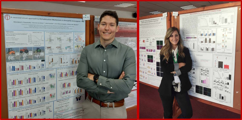 BSRC Fleming PhD Candidates, Alexandros Charonitakis and Engie Prifti , have been awarded “Best Poster” prizes at the 30th Meeting of the Hellenic Society of Neuroscience held in Athens on 24-26 of November 2023.