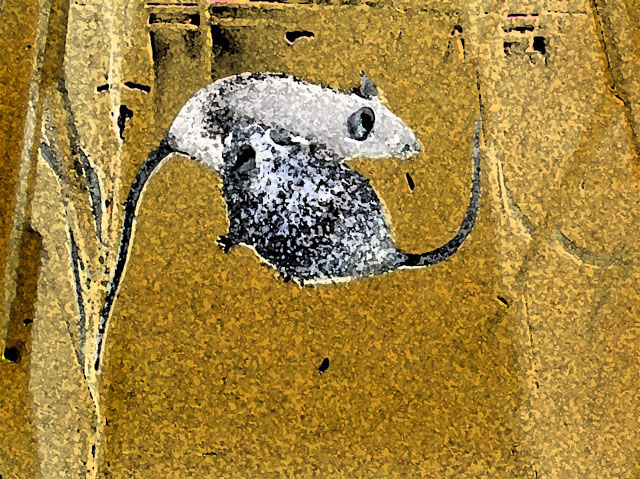 05