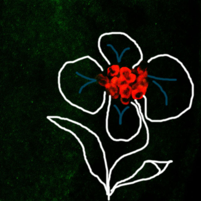 08