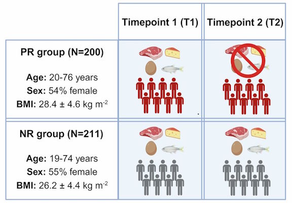 Research by Rouskas, Bocher et al from the Dimas lab reveals extensive metabolic reprogramming following restriction of animal products with effects on cardiometabolic health.