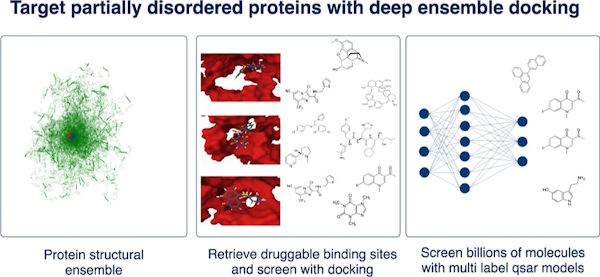 New Research by Z. Faidon Brotzakis from Skretas Lab on Targeting AR-V7 Structural Dynamics via Deep Ensemble Docking.