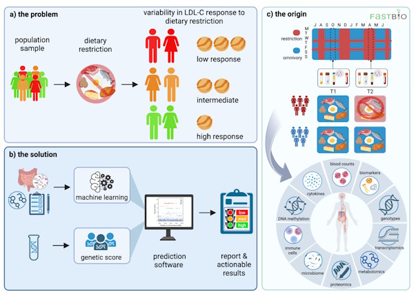ERC Proof of Concept Grant awarded to Dr Antigone Dimas to develop an actionable, decision support platform to predict LDL-C response to dietary restriction of animal products.