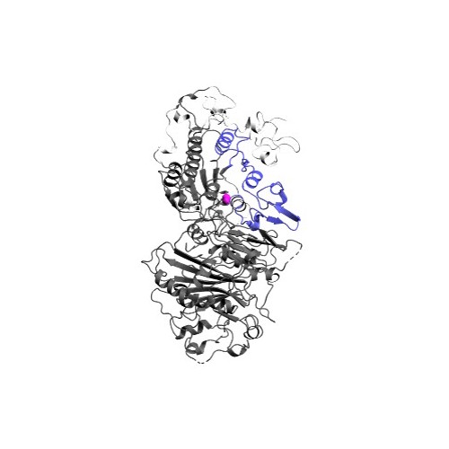 Fleming presents EL244, a dual ATX inhibitor/PPARγ agonist, developed through drug repositioning and innovative rational design. Inhaled EL244 attenuates pulmonary fibrosis in mouse and human models, suggesting EL244 as a promising clinical candidate.
