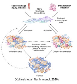 koliaraki overview1